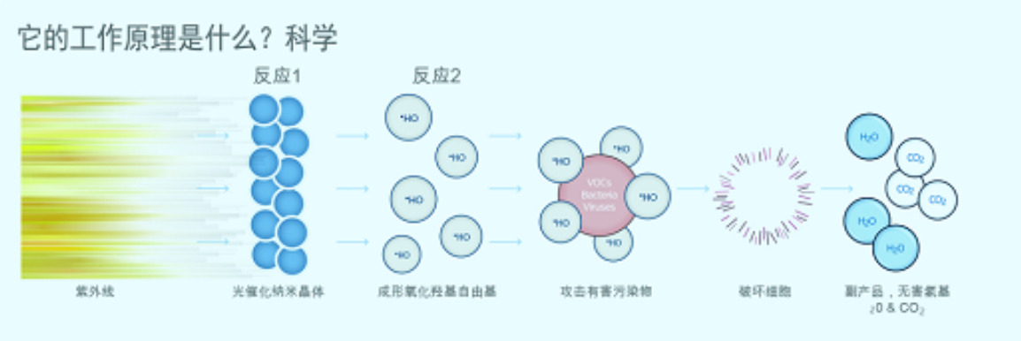 游泳池,SPA水疗池,桑拿浴,蒸气浴,汗蒸房,三温暖