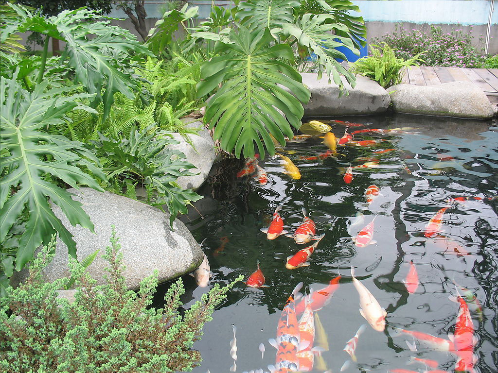 游泳池,做游泳池,游泳池设备,泳池设备,游泳池水处理,泳池水处理,桑拿房